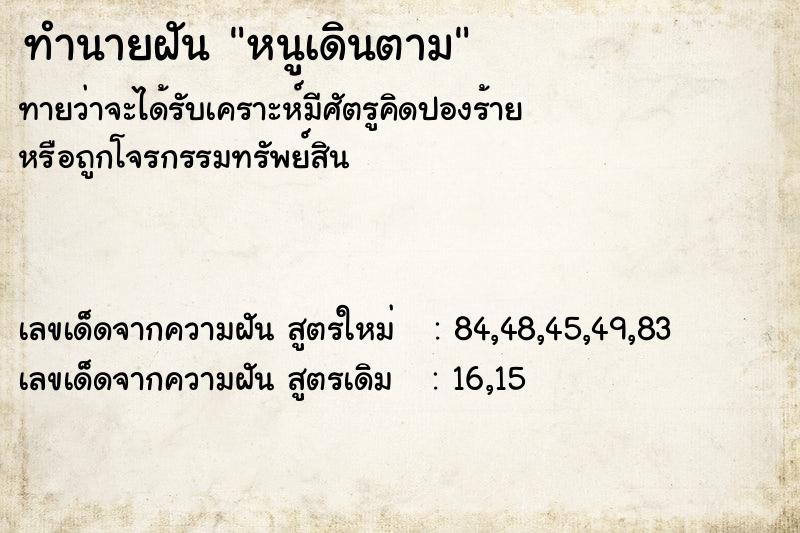 ทำนายฝัน หนูเดินตาม ทำนายฝัน หนูเดินตาม