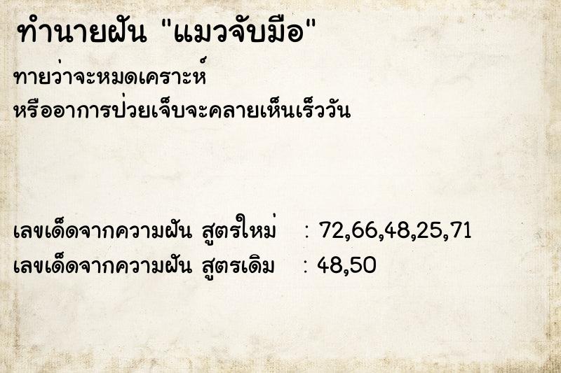 ทำนายฝัน แมวจับมือ ทำนายฝัน แมวจับมือ