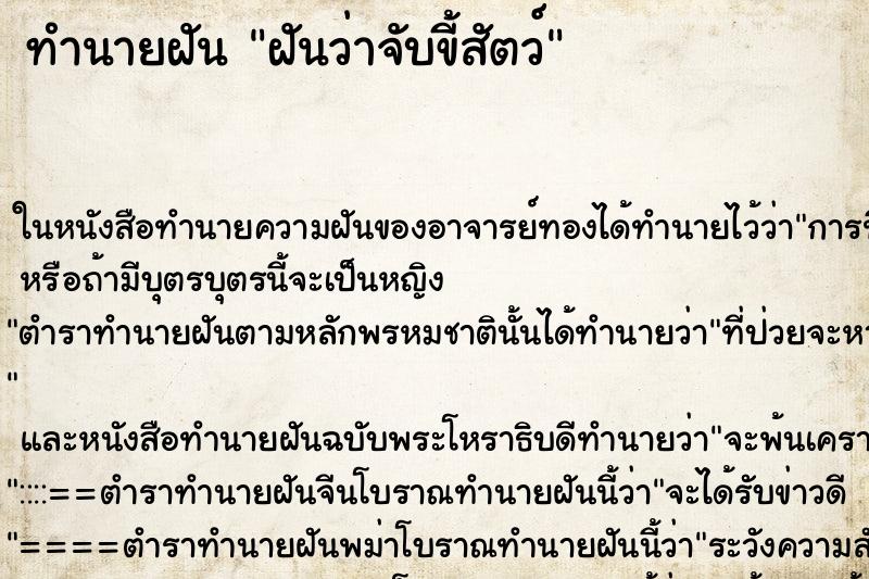 ทำนายฝัน ฝันว่าจับขี้สัตว์ ทำนายฝัน ฝันว่าจับขี้สัตว์