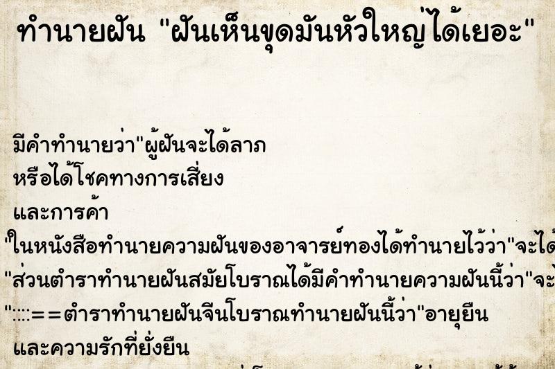 ทำนายฝัน ฝันเห็นขุดมันหัวใหญ่ได้เยอะ