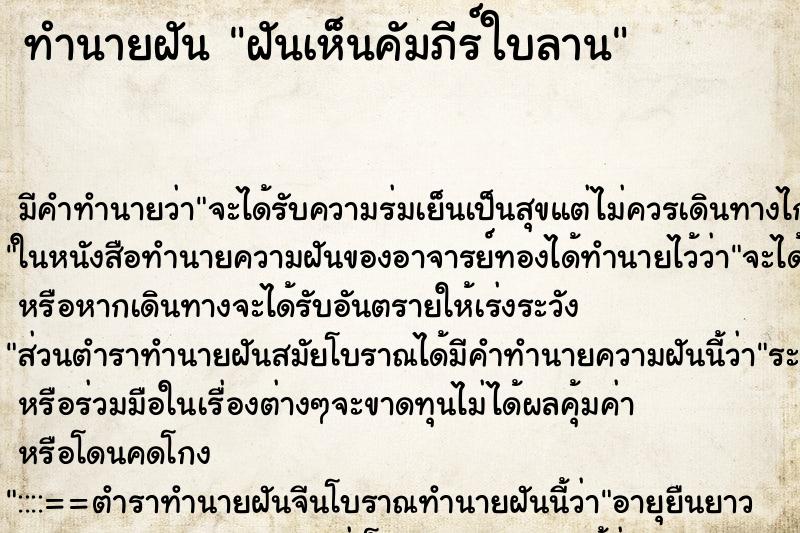ทำนายฝัน ฝันเห็นคัมภีร์ใบลาน ทำนายฝัน ฝันเห็นคัมภีร์ใบลาน