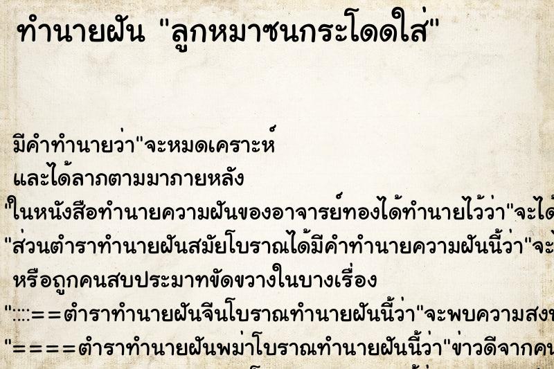 ทำนายฝันลูกหมาซนกระโดดใส่ ทำนายฝันทำนายฝันลูกหมาซนกระโดดใส่