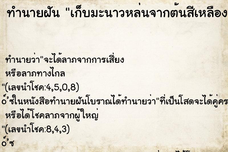 ทำนายฝัน เก็บมะนาวหล่นจากต้นสีเหลืองหลายลูก