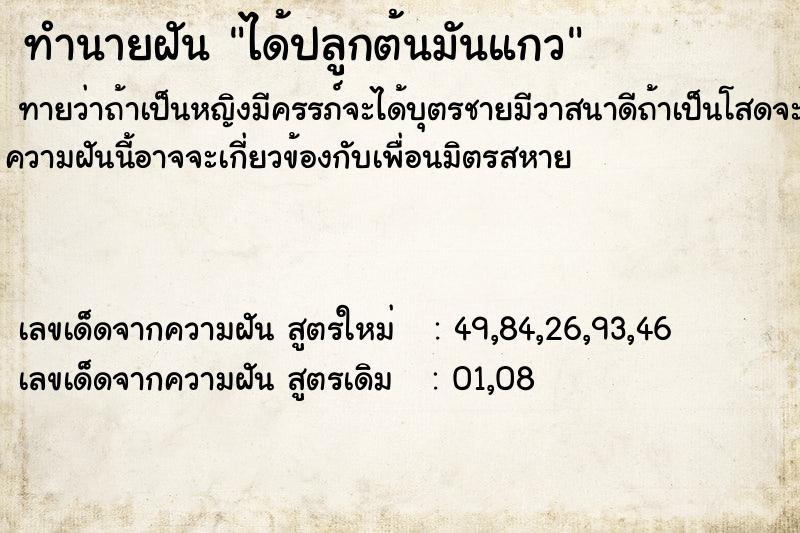 ทำนายฝันทำนายฝันได้ปลูกต้นมันแกว