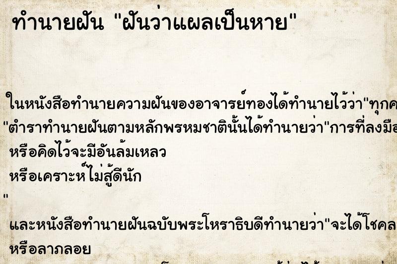 ทำนายฝันฝันว่าแผลเป็นหาย ทำนายฝันทำนายฝันฝันว่าแผลเป็นหาย