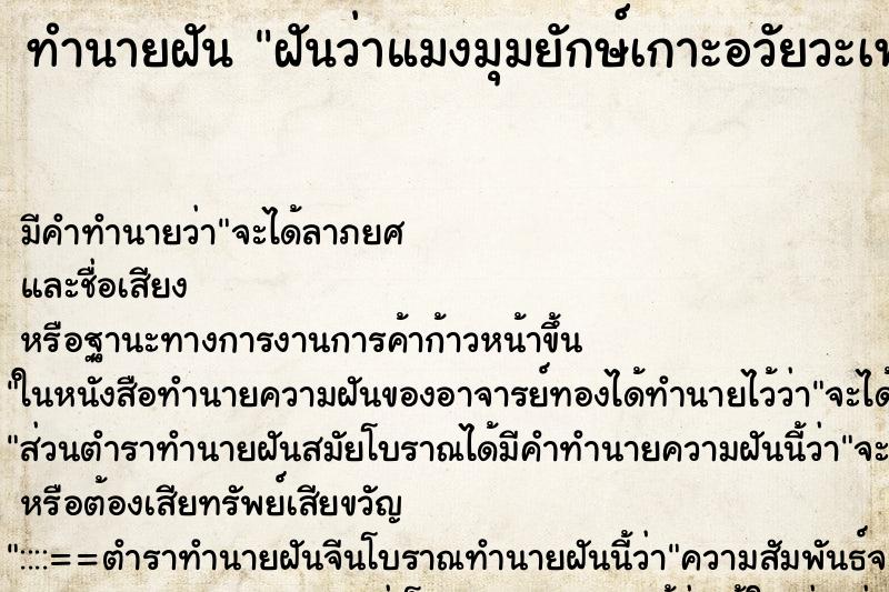 ทำนายฝัน ฝันว่าแมงมุมยักษ์เกาะอวัยวะเพศ ทำนายฝัน ฝันว่าแมงมุมยักษ์เกาะอวัยวะเพศ
