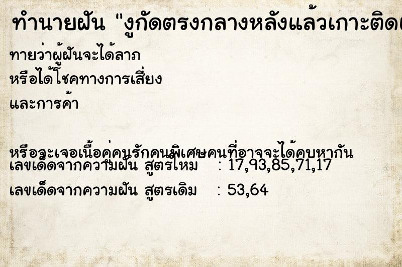 ทำนายฝันงูกัดตรงกลางหลังแล้วเกาะติดแน่น ทำนายฝันทำนายฝันงูกัดตรงกลางหลังแล้วเกาะติดแน่น