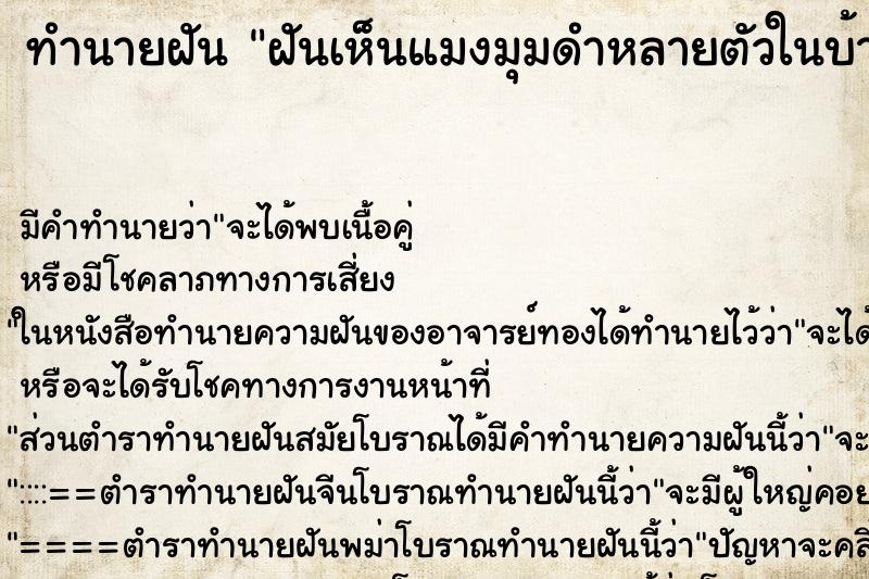 ทำนายฝัน ฝันเห็นแมงมุมดำหลายตัวในบ้าน ทำนายฝัน ฝันเห็นแมงมุมดำหลายตัวในบ้าน