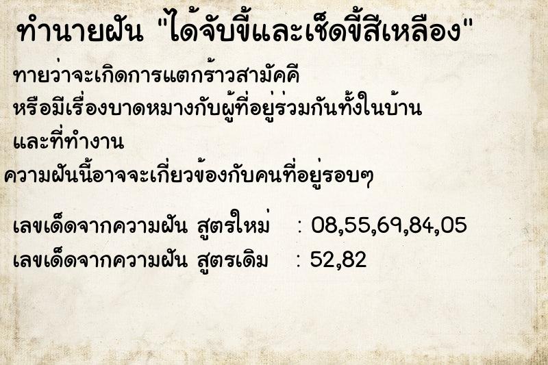 ทำนายฝันได้จับขี้และเช็ดขี้สีเหลือง ทำนายฝันทำนายฝันได้จับขี้และเช็ดขี้สีเหลือง