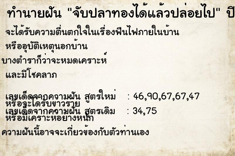 ทำนายฝัน จับปลาทองได้แล้วปล่อยไป ทำนายฝัน จับปลาทองได้แล้วปล่อยไป