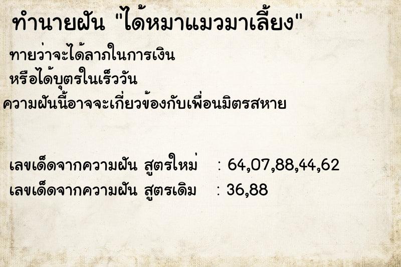 ทำนายฝันได้หมาแมวมาเลี้ยง ทำนายฝันทำนายฝันได้หมาแมวมาเลี้ยง