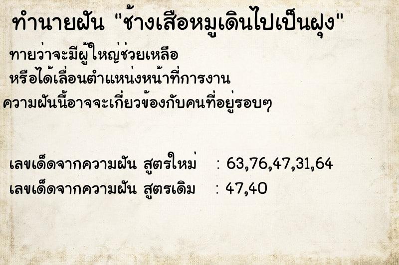 ทำนายฝันช้างเสือหมูเดินไปเป็นฝุง ทำนายฝันทำนายฝันช้างเสือหมูเดินไปเป็นฝุง