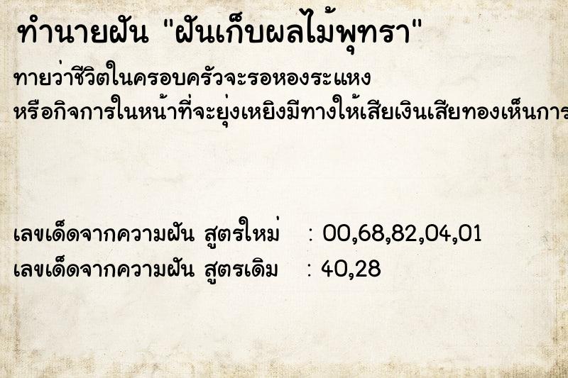 ทำนายฝันฝันเก็บผลไม้พุทรา ทำนายฝันทำนายฝันฝันเก็บผลไม้พุทรา
