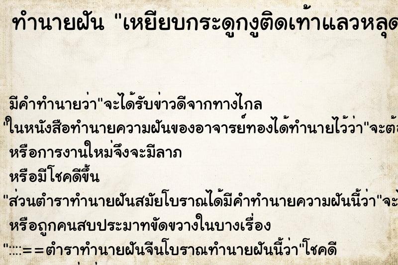 ทำนายฝันทำนายฝันเหยียบกระดูกงูติดเท้าแลวหลุด