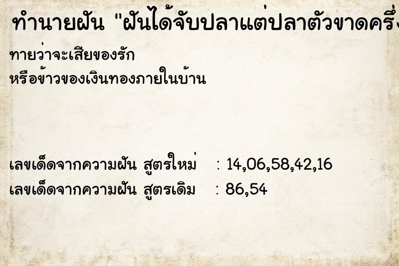 ทำนายฝันทำนายฝันฝันได้จับปลาแต่ปลาตัวขาดครึ่ง