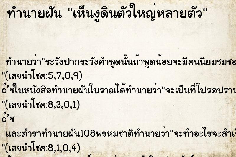 ทำนายฝันเห็นงูดินตัวใหญ่หลายตัว ทำนายฝันทำนายฝันเห็นงูดินตัวใหญ่หลายตัว