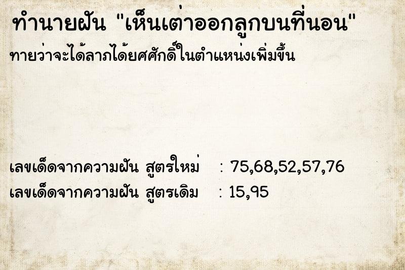 ทำนายฝันเห็นเต่าออกลูกบนที่นอน ทำนายฝันทำนายฝันเห็นเต่าออกลูกบนที่นอน