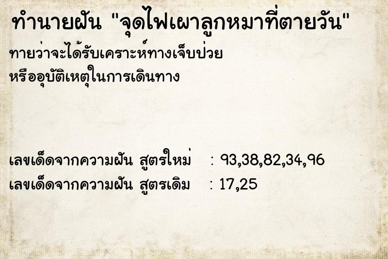 ทำนายฝันจุดไฟเผาลูกหมาที่ตายวัน ทำนายฝันทำนายฝันจุดไฟเผาลูกหมาที่ตายวัน