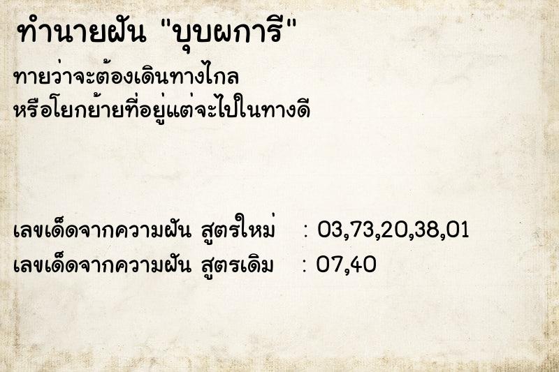 ทำนายฝันบุบผการี ทำนายฝันทำนายฝันบุบผการี