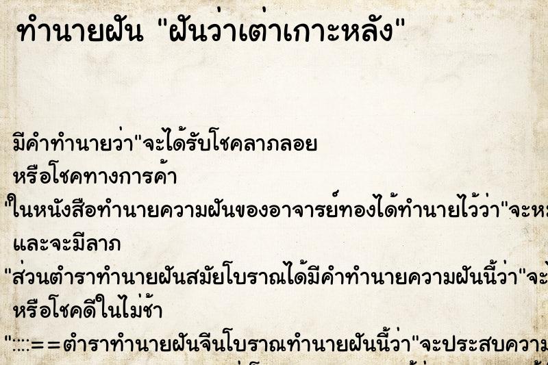ทำนายฝันฝันว่าเต่าเกาะหลัง ทำนายฝันทำนายฝันฝันว่าเต่าเกาะหลัง