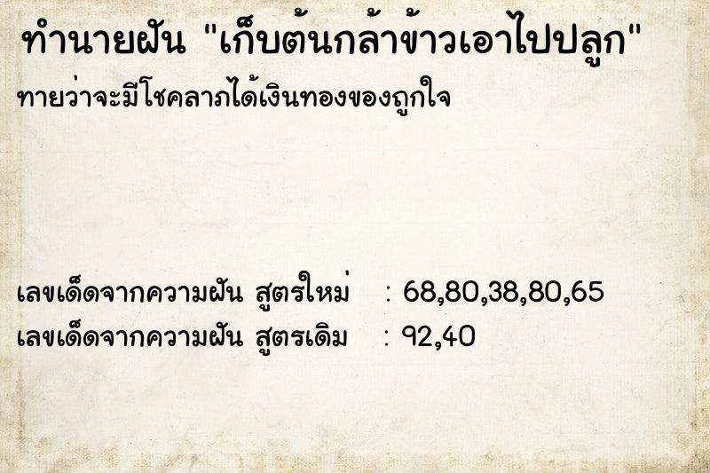 ทำนายฝันเก็บต้นกล้าข้าวเอาไปปลูก ทำนายฝันทำนายฝันเก็บต้นกล้าข้าวเอาไปปลูก