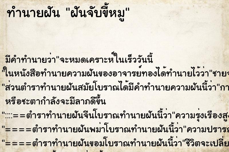 ทำนายฝัน ฝันจับขี้หมู ทำนายฝัน ฝันจับขี้หมู