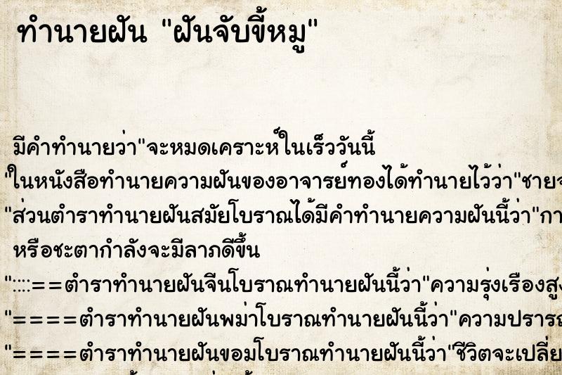 ทำนายฝัน ฝันจับขี้หมู ตำราโบราณ แม่นที่สุดในโลก