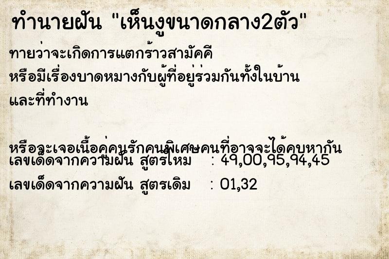 ทำนายฝัน เห็นงูขนาดกลาง2ตัว ทำนายฝัน เห็นงูขนาดกลาง2ตัว