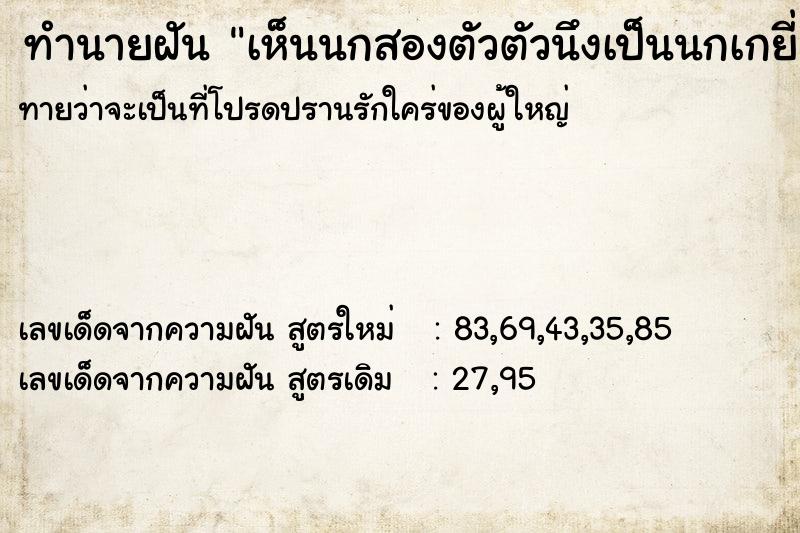 ทำนายฝันเห็นนกสองตัวตัวนึงเป็นนกเกยี่ยว ทำนายฝันทำนายฝันเห็นนกสองตัวตัวนึงเป็นนกเกยี่ยว