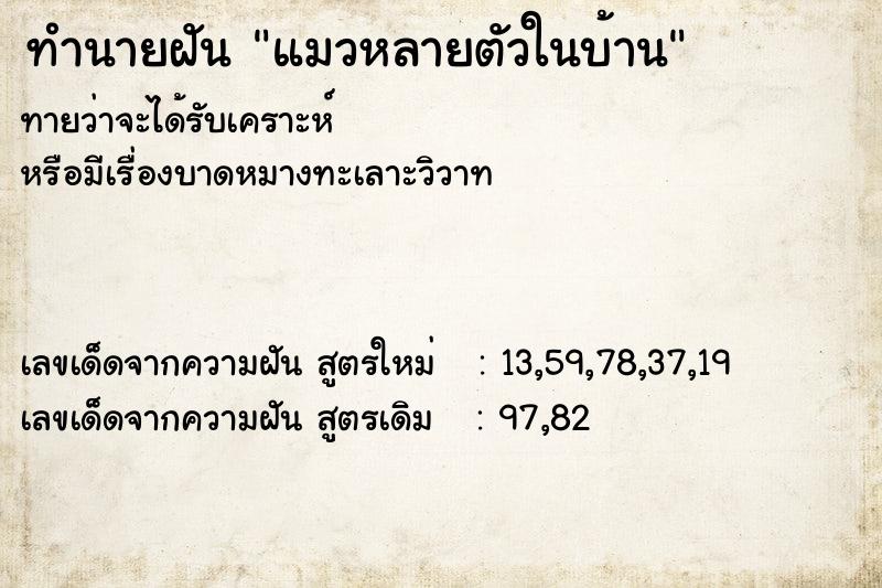ทำนายฝันทำนายฝันแมวหลายตัวในบ้าน