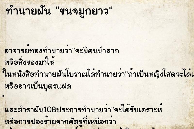 ทำนายฝัน ขนจมูกยาว ทำนายฝัน ขนจมูกยาว