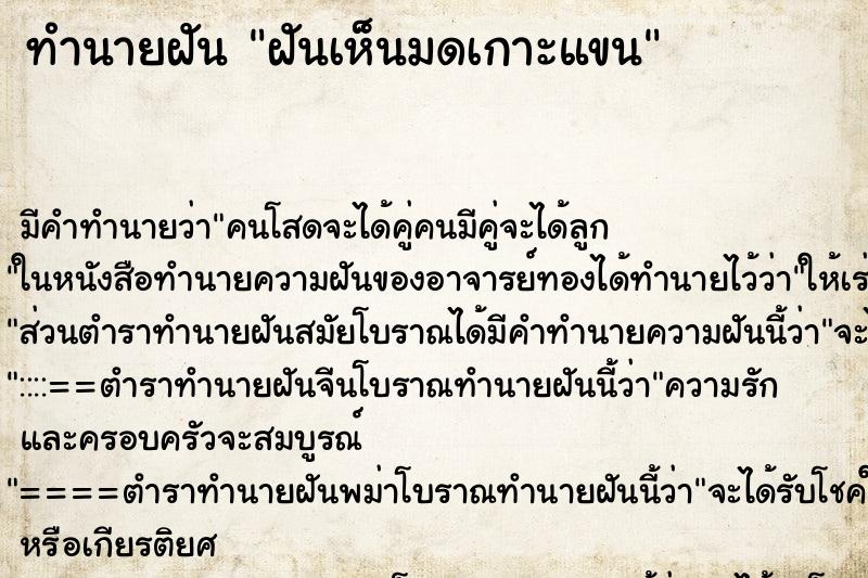 ทำนายฝัน ฝันเห็นมดเกาะแขน ทำนายฝัน ฝันเห็นมดเกาะแขน