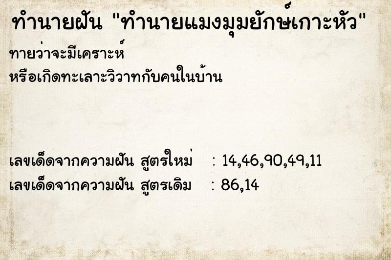 ทำนายฝันทำนายแมงมุมยักษ์เกาะหัว ทำนายฝันทำนายฝันทำนายแมงมุมยักษ์เกาะหัว
