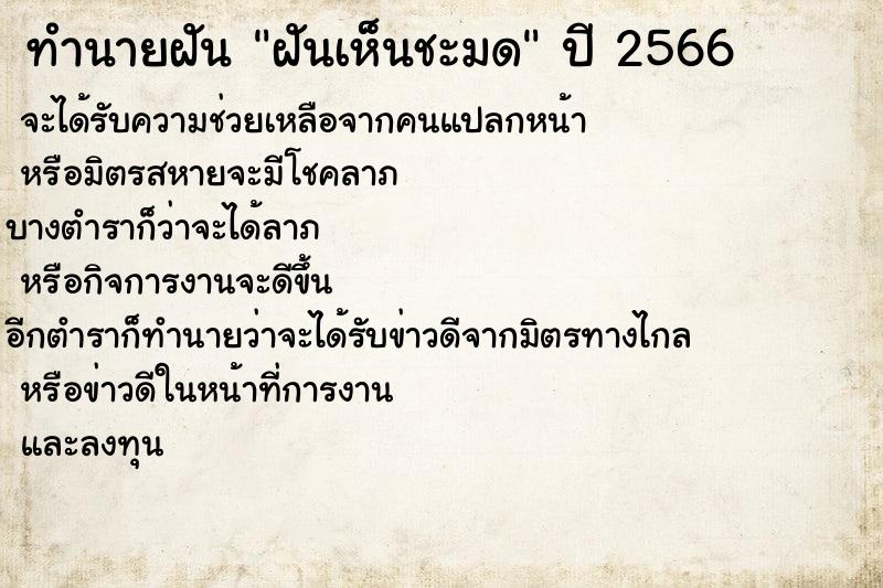 ทำนายฝันทำนายฝันฝันเห็นชะมด