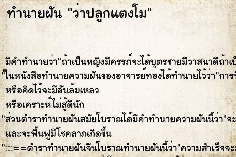 ทำนายฝัน ว่าปลูกแตงโม ทำนายฝัน ว่าปลูกแตงโม