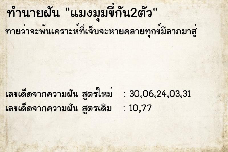 ทำนายฝันทำนายฝันแมงมุมขี่กัน2ตัว