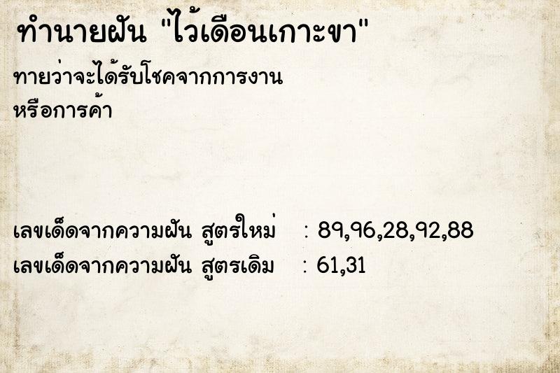 ทำนายฝัน ไว้เดือนเกาะขา