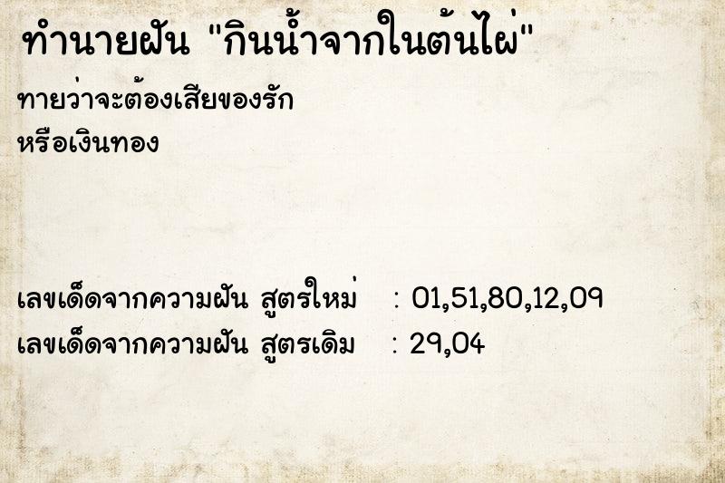 ทำนายฝันกินน้ำจากในต้นไผ่ ทำนายฝันทำนายฝันกินน้ำจากในต้นไผ่