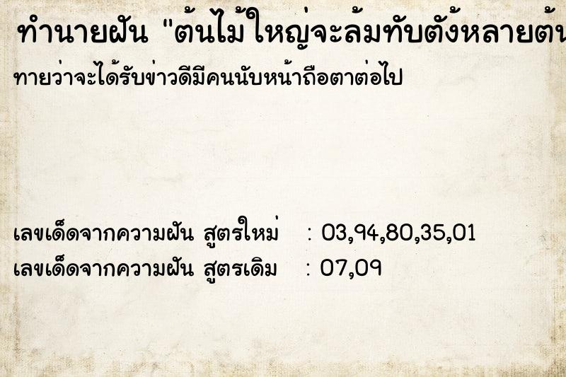 ทำนายฝันต้นไม้ใหญ่จะล้มทับตัง้หลายต้น ทำนายฝันทำนายฝันต้นไม้ใหญ่จะล้มทับตัง้หลายต้น