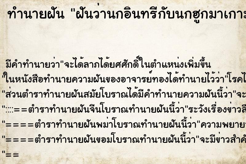 ทำนายฝันฝันว่านกอินทรีกับนกฮูกมาเกาะหน้าบ้าน ทำนายฝันทำนายฝันฝันว่านกอินทรีกับนกฮูกมาเกาะหน้าบ้าน