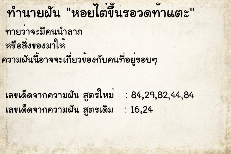 ทำนายฝันทำนายฝันหอยไต่ขึ้นรอวดท้าแตะ