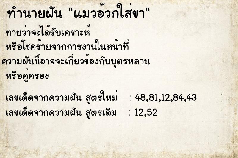 ทำนายฝัน แมวอ้วกใส่ขา ทำนายฝัน แมวอ้วกใส่ขา