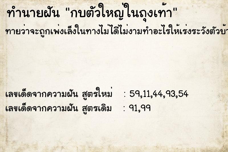 ทำนายฝันกบตัวใหญ่ในถุงเท้า ทำนายฝันทำนายฝันกบตัวใหญ่ในถุงเท้า