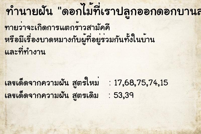 ทำนายฝันทำนายฝันดอกไม้ที่เราปลูกออกดอกบานสะพรั่ง