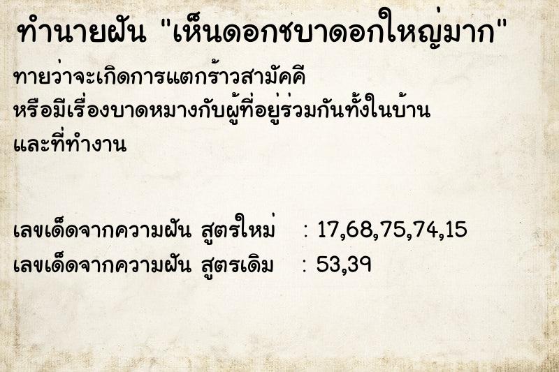ทำนายฝันเห็นดอกชบาดอกใหญ่มาก ทำนายฝันทำนายฝันเห็นดอกชบาดอกใหญ่มาก