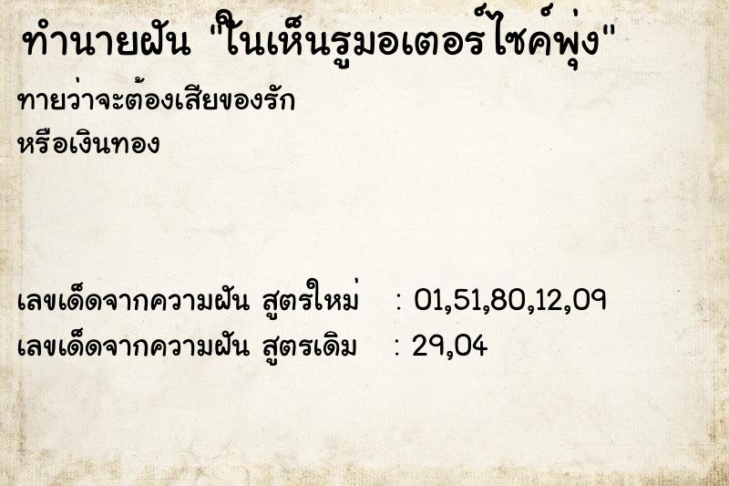 ทำนายฝันใันเห็นรูมอเตอร์ไซค์พุ่ง ทำนายฝันทำนายฝันใันเห็นรูมอเตอร์ไซค์พุ่ง