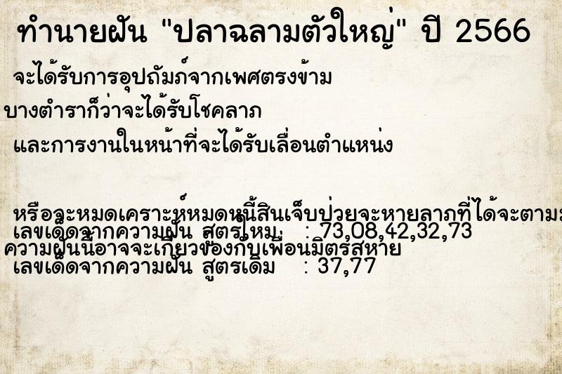 ทำนายฝัน ปลาฉลามตัวใหญ่