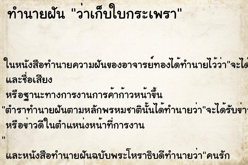 ทำนายฝันทำนายฝันว่าเก็บใบกระเพรา