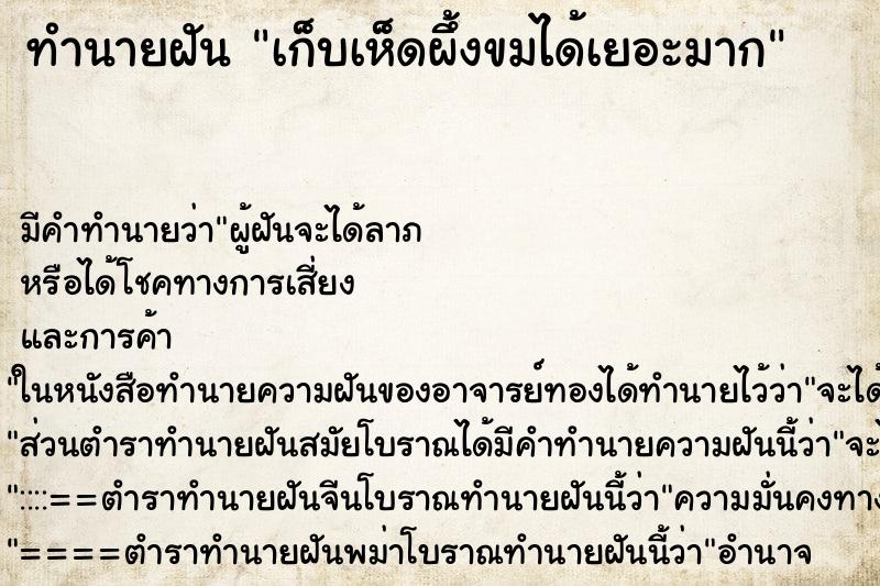 ทำนายฝัน เก็บเห็ดผึ้งขมได้เยอะมาก ทำนายฝัน เก็บเห็ดผึ้งขมได้เยอะมาก