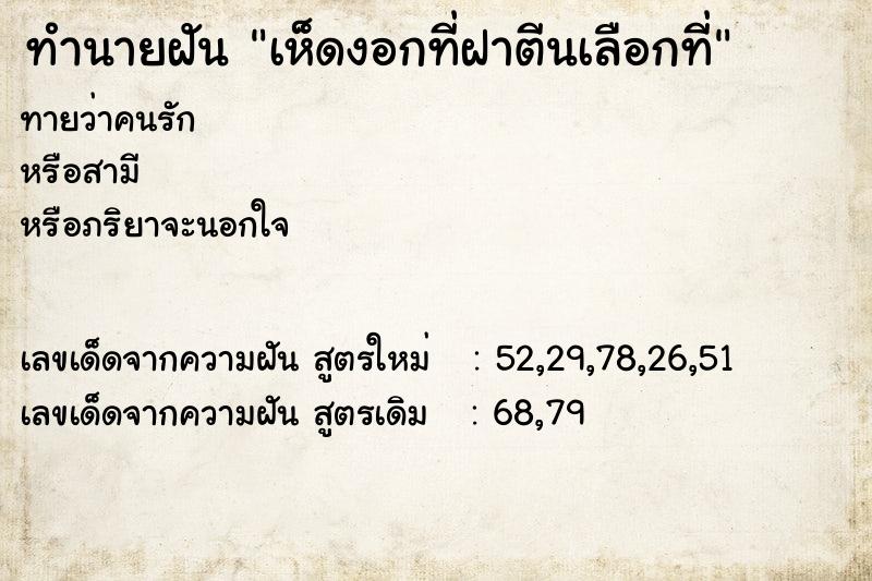 ทำนายฝันทำนายฝันเห็ดงอกที่ฝาตีนเลือกที่